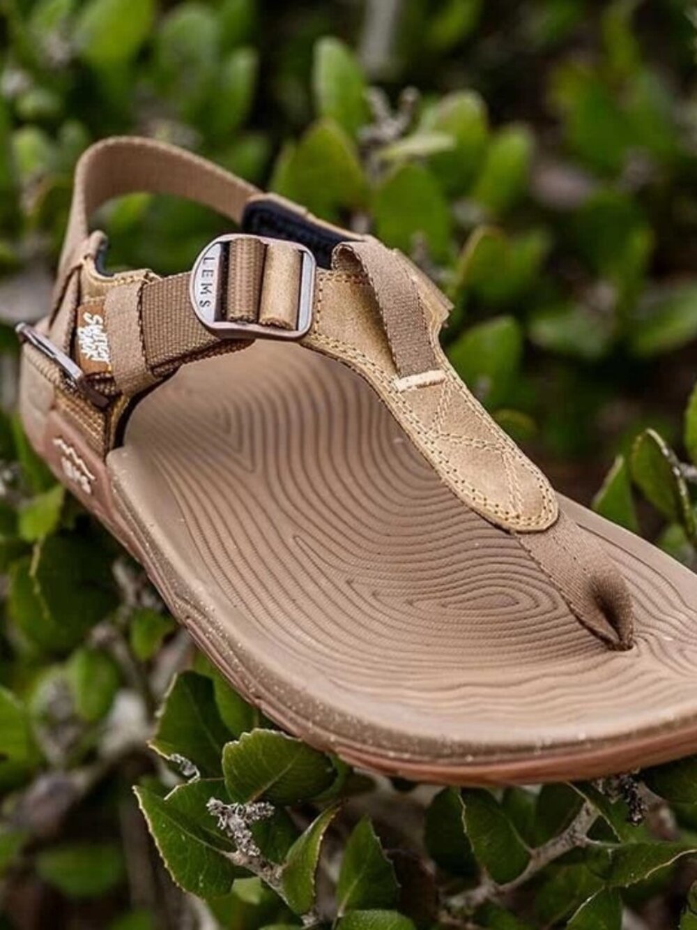 Lems Switchback Sandal in Sandstorm, Size 8 Women / 7 Men